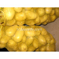 ihracat için tengzhou taze patates